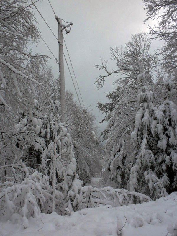 Heavy, Wet Snow and ice cause trees and branches to bend down into the power lines