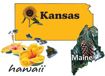 Maine is partnering with Kansas and Hawaii this year. We work with other tour groups to make the most of the Tour for our students and for theirs.